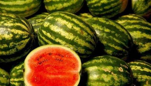 黑网免费吃瓜,揭秘黑网免费吃瓜背后的真相与风险