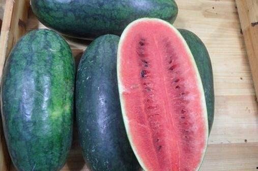 黑网免费吃瓜,揭秘黑网免费吃瓜背后的真相与风险