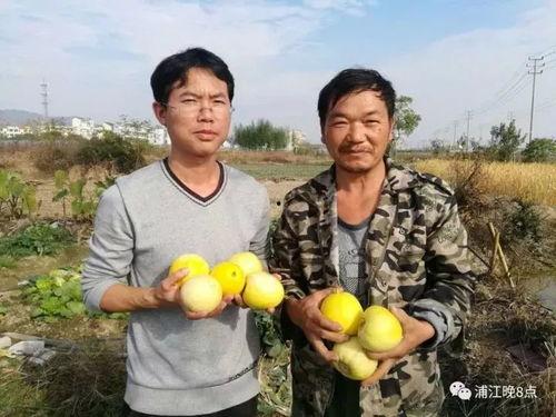 三台吃瓜群众,揭秘娱乐圈幕后风云