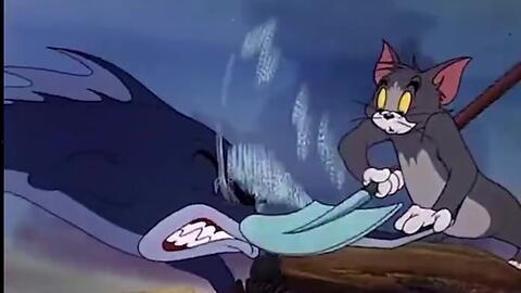 城里猫吃瓜视频,揭秘喵星人的娱乐生活