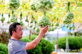 古怪楼梯带你吃瓜,带你穿越时空，品尝历史瓜果