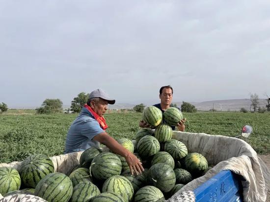 dunk吃瓜,揭秘娱乐圈的甜蜜与苦涩