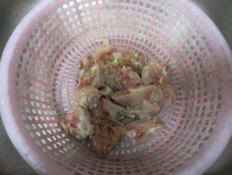 籽瓜兔子可以吃吗,安全与营养分析