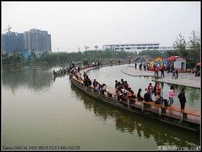 许昌双龙湖吃瓜,尽享清凉夏日时光