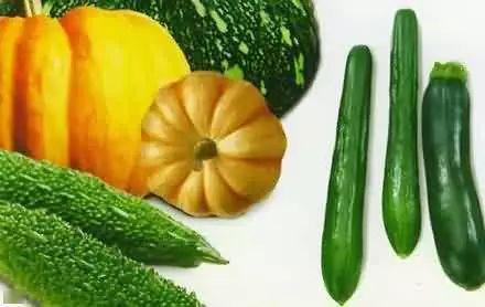 深蹲吃瓜,揭秘健身界的“瓜田”趣事