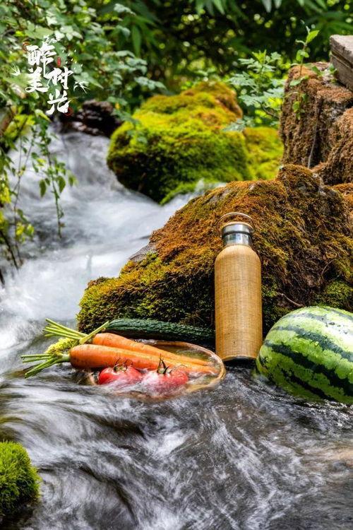 丽江的吃瓜,瓜果飘香，舌尖上的瓜界盛宴