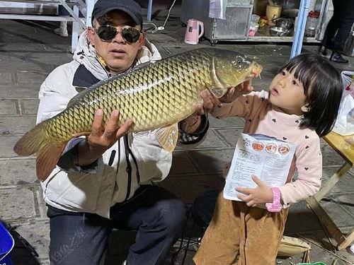 吃土瓜的鲤鱼图片,美食与自然的和谐交响