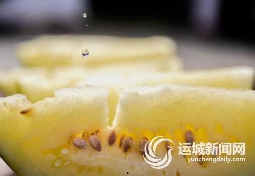 三白瓜吃哪里,揭秘最佳食用部位
