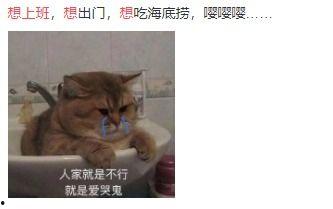 上班太无聊吃瓜,轻松度过职场闲暇时光