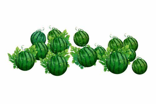 阿霜吃瓜,揭秘娱乐圈那些不为人知的幕后故事