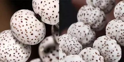 永康象珠吃瓜,探寻瓜果飘香的田园时光