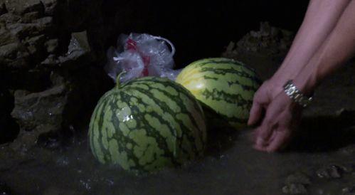 永康象珠吃瓜,探寻瓜果飘香的田园时光