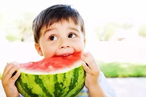 准时吃瓜不间断,准时吃瓜不间断，揭秘娱乐圈新鲜事