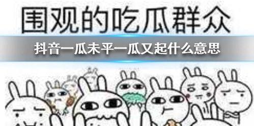 抖音每日吃瓜,揭秘娱乐圈最新热点事件