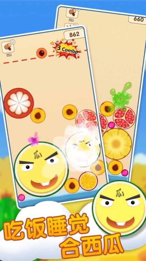 吃瓜从哪里下载