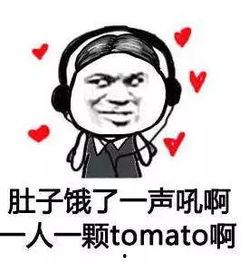 贝壳吃瓜表情包,网络新宠，趣味横生