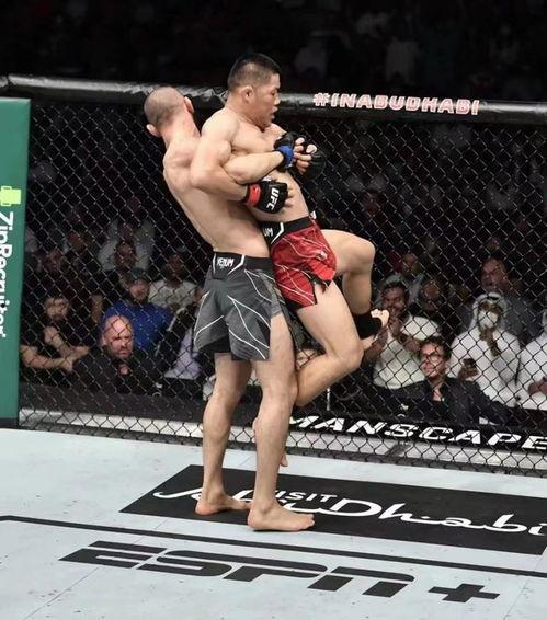 ufc吃瓜,吃瓜群众眼中的激战风云