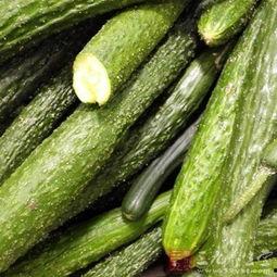 吃瓜嗓子有痰,痰多成因解析与应对策略