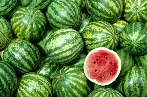 吊带吃瓜,夏日吃瓜新风尚